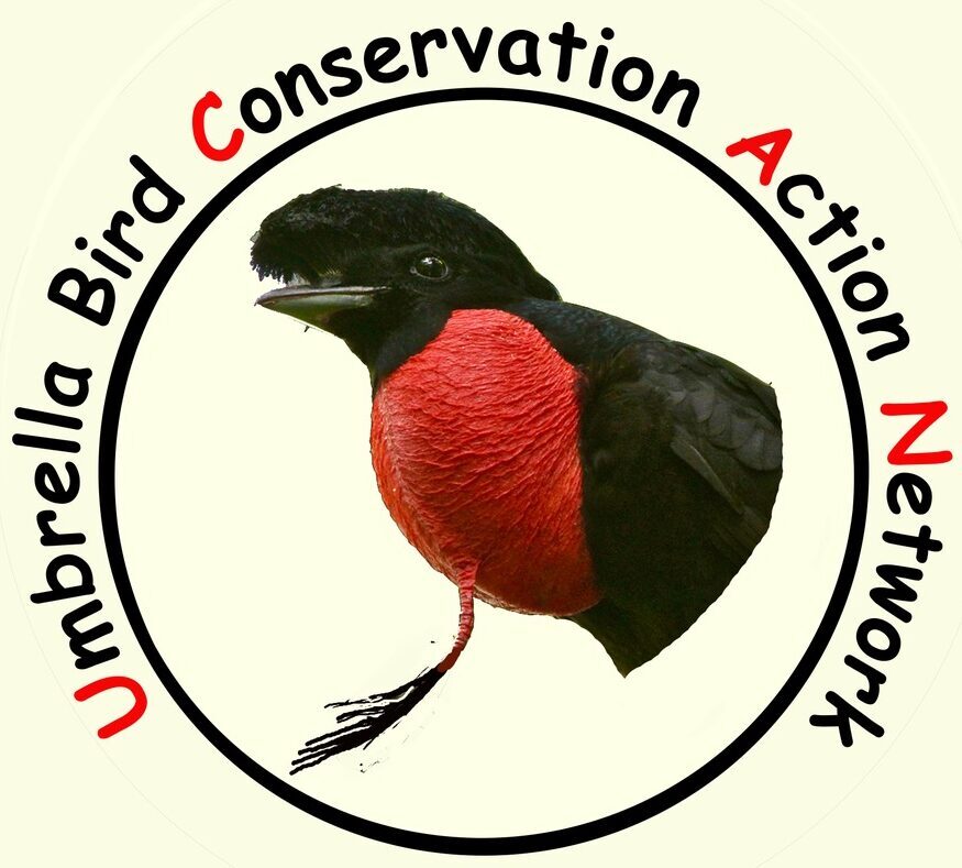 Umbrella Bird Action Network
